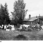 EM1 (132)
